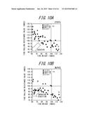 PNEUMATIC RADIAL TIRE FOR PASSENGER VEHICLES diagram and image