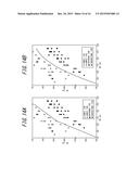 PNEUMATIC RADIAL TIRE FOR PASSENGER VEHICLES diagram and image