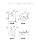 A CAPSULE FOR BEVERAGE DISPENSING APPARATUS diagram and image