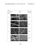 FILTER FOR THE TREATMENT OF LIQUIDS WITH MAGNETITE NANOPARTICLES AND     CORRESPONDING METHODS diagram and image