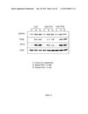 PHARMACEUTICAL COMPOSITIONS COMPRISING MONOTERPENES diagram and image