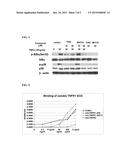 INHIBITORS OF THE TUMOR NECROSIS FACTOR RECEPTOR COMPLEX diagram and image