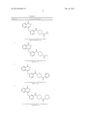 POLY (ADP-RIBOSE) POLYMERASE INHIBITOR diagram and image