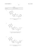 POLY (ADP-RIBOSE) POLYMERASE INHIBITOR diagram and image