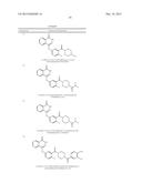 POLY (ADP-RIBOSE) POLYMERASE INHIBITOR diagram and image