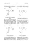 FLAP MODULATORS diagram and image