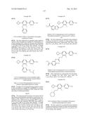 FLAP MODULATORS diagram and image