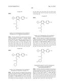 FLAP MODULATORS diagram and image