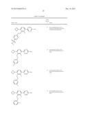 FLAP MODULATORS diagram and image