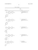 FLAP MODULATORS diagram and image