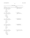 FLAP MODULATORS diagram and image