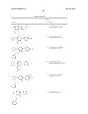 FLAP MODULATORS diagram and image