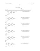 FLAP MODULATORS diagram and image