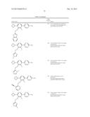 FLAP MODULATORS diagram and image