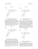 FLAP MODULATORS diagram and image