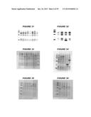 NUCLEIC ACIDS AND PROTEINS FROM STREPTOCOCCUS GROUPS A AND B diagram and image