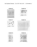 NUCLEIC ACIDS AND PROTEINS FROM STREPTOCOCCUS GROUPS A AND B diagram and image