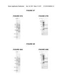 NUCLEIC ACIDS AND PROTEINS FROM STREPTOCOCCUS GROUPS A AND B diagram and image