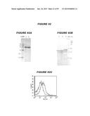 NUCLEIC ACIDS AND PROTEINS FROM STREPTOCOCCUS GROUPS A AND B diagram and image