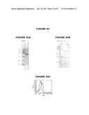 NUCLEIC ACIDS AND PROTEINS FROM STREPTOCOCCUS GROUPS A AND B diagram and image