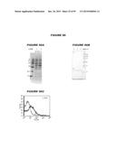 NUCLEIC ACIDS AND PROTEINS FROM STREPTOCOCCUS GROUPS A AND B diagram and image