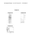 NUCLEIC ACIDS AND PROTEINS FROM STREPTOCOCCUS GROUPS A AND B diagram and image