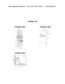 NUCLEIC ACIDS AND PROTEINS FROM STREPTOCOCCUS GROUPS A AND B diagram and image