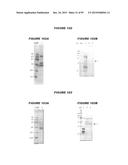 NUCLEIC ACIDS AND PROTEINS FROM STREPTOCOCCUS GROUPS A AND B diagram and image