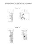 NUCLEIC ACIDS AND PROTEINS FROM STREPTOCOCCUS GROUPS A AND B diagram and image