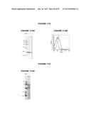 NUCLEIC ACIDS AND PROTEINS FROM STREPTOCOCCUS GROUPS A AND B diagram and image