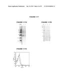 NUCLEIC ACIDS AND PROTEINS FROM STREPTOCOCCUS GROUPS A AND B diagram and image