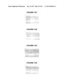 NUCLEIC ACIDS AND PROTEINS FROM STREPTOCOCCUS GROUPS A AND B diagram and image