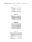 NUCLEIC ACIDS AND PROTEINS FROM STREPTOCOCCUS GROUPS A AND B diagram and image