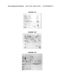 NUCLEIC ACIDS AND PROTEINS FROM STREPTOCOCCUS GROUPS A AND B diagram and image