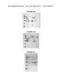 NUCLEIC ACIDS AND PROTEINS FROM STREPTOCOCCUS GROUPS A AND B diagram and image