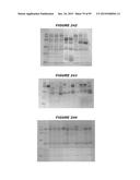 NUCLEIC ACIDS AND PROTEINS FROM STREPTOCOCCUS GROUPS A AND B diagram and image