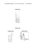 NUCLEIC ACIDS AND PROTEINS FROM STREPTOCOCCUS GROUPS A AND B diagram and image