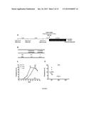 LENTIVIRAL VECTOR BASED IMMUNOLOGICAL COMPOUNDS AGAINST MALARIA diagram and image