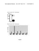 LENTIVIRAL VECTOR BASED IMMUNOLOGICAL COMPOUNDS AGAINST MALARIA diagram and image