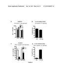 LENTIVIRAL VECTOR BASED IMMUNOLOGICAL COMPOUNDS AGAINST MALARIA diagram and image