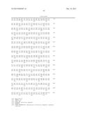 LENTIVIRAL VECTOR BASED IMMUNOLOGICAL COMPOUNDS AGAINST MALARIA diagram and image