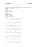 LENTIVIRAL VECTOR BASED IMMUNOLOGICAL COMPOUNDS AGAINST MALARIA diagram and image