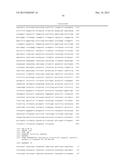 LENTIVIRAL VECTOR BASED IMMUNOLOGICAL COMPOUNDS AGAINST MALARIA diagram and image