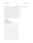 LENTIVIRAL VECTOR BASED IMMUNOLOGICAL COMPOUNDS AGAINST MALARIA diagram and image