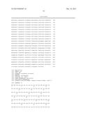 LENTIVIRAL VECTOR BASED IMMUNOLOGICAL COMPOUNDS AGAINST MALARIA diagram and image