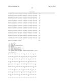 LENTIVIRAL VECTOR BASED IMMUNOLOGICAL COMPOUNDS AGAINST MALARIA diagram and image