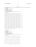 LENTIVIRAL VECTOR BASED IMMUNOLOGICAL COMPOUNDS AGAINST MALARIA diagram and image