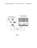 TUMOR SPECIFIC ANTIBODIES AND USES THEREFOR diagram and image
