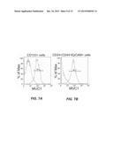 TUMOR SPECIFIC ANTIBODIES AND USES THEREFOR diagram and image