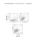 TUMOR SPECIFIC ANTIBODIES AND USES THEREFOR diagram and image